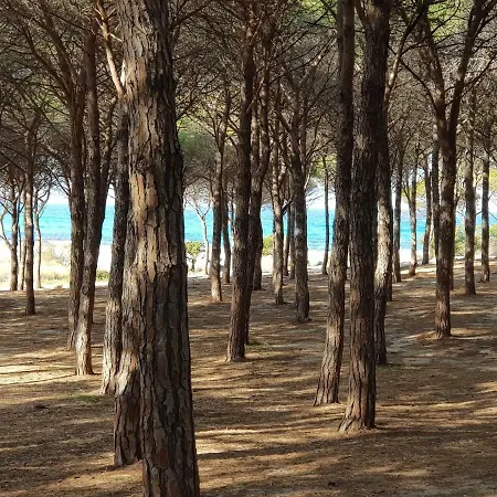 Apple Little Paradise Holiday home Budoni